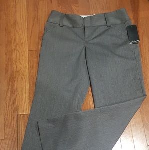 Daisy Fuentes On Trend Bootcut Pants